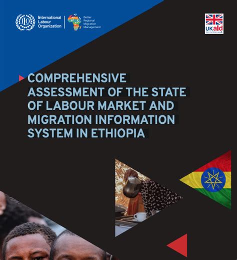 Comprehensive Assessment Of The State Of Labour Market And Migration