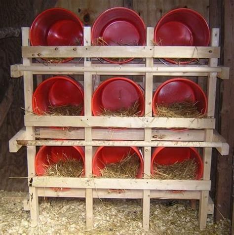 How To Raise Backyard Chickens Easily Hubpages