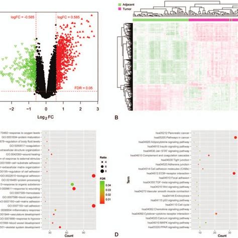 Identification Of Degs And Functional Enrichment Analysis A Volcano