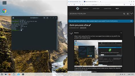 Zorin Pro & Core & Lite - Chat about Zorin - Zorin Forum
