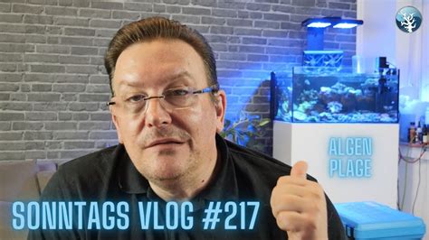 Der Meerwasseraquaristik Sonntags Vlog Ep Wartungsarbeiten