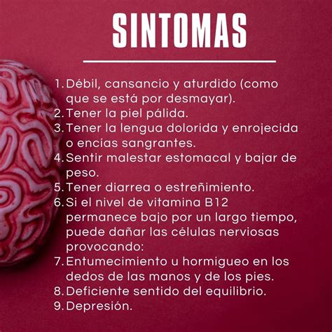 Anemia Por Deficiencia De Vitamina B12 La Fortuna 7