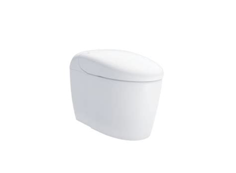 Toto Neorest Rs Dual Flush Toilet And Bidet Sku Ms8341cumfg Manybidets