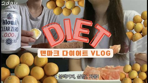 Diet Vlog 3일만에 26kg 덴마크 다이어트 3일 식단 후기 급찐급빠 직장인 다이어트 Youtube