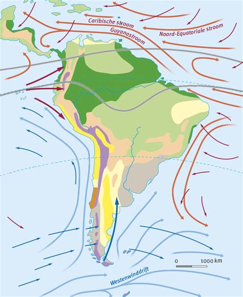 V Ak Klimaten En Natuurlijke Invloeden In Zuid Amerika Diagram Quizlet