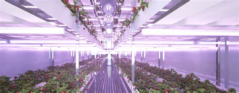 Commercial Hydroponic For Sale Design Production Installation Training