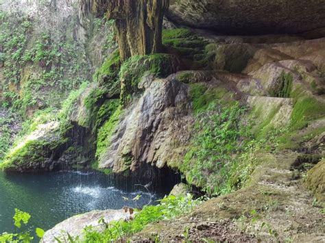 Westcave Preserve is a Texas Hill Country Gem – Trips To Discover