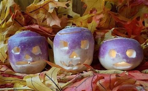 Workshop: Halloween Turnip Carving 10am, Oak Glen Preserve, Yucaipa, 26 ...