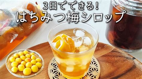 はちみつ梅シロップ 作り方 保存袋 で3日！夏の疲れに【簡単 ！ 袋漬け】梅 シロップ はちみつ レシピ 梅ジュース Youtube