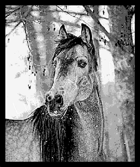 Gray Horse – Linda's Yarn Art