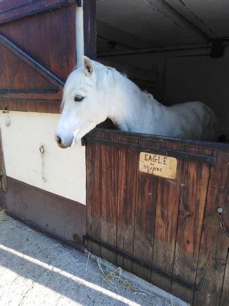 Eagle 1er Club De France En CSO Poney 2023