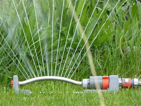 Best Time To Use Your Sprinklers In Summer