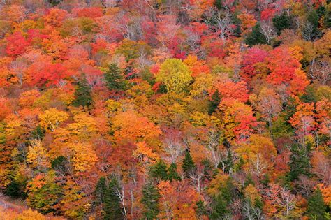 Video: Fall Colors in Acadia National Park