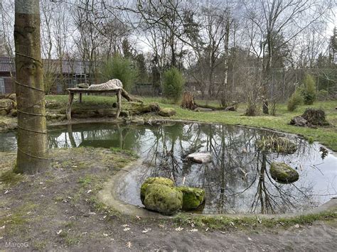 Tier Und Freizeitpark Th Le Im Parkcheckpoint F R Freizeitparks Und