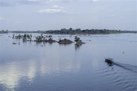 Sunset on the Mekong River, Trees in the Water Stock Image - Image of ...