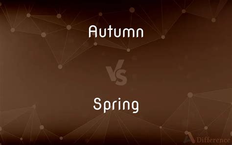 Autumn Vs Spring — Whats The Difference