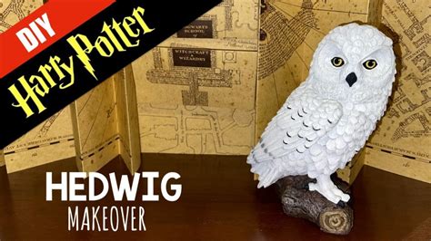 ⚡️harry Potter Diy Hedwig Makeover Youtube