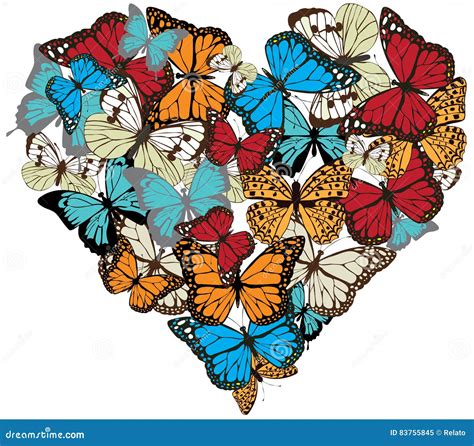 Vector Vintage Butterfly Heart Stock Vector Illustration Of Design