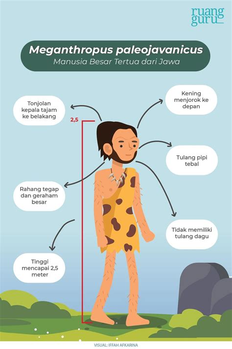 Manusia Purba yang Ditemukan di Indonesia | Sejarah Kelas 10