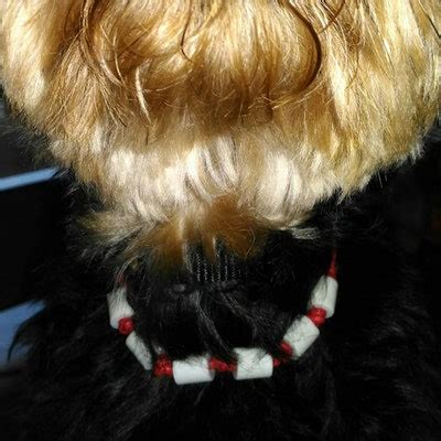 Natural Dog Tick Collar - Etsy