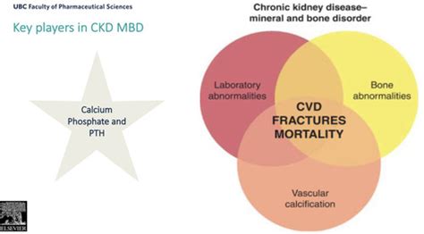 NEPHRO 12 Mineral And Bone Disorder In CKD Hyperphosphatemia