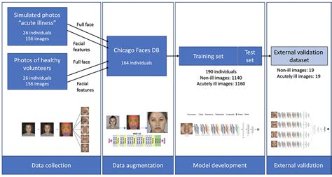 Frontiers Deep Learning For Identification Of Acute Illness And