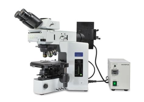 Olympus BX 51 Fluorescent Microscope LNF Wiki