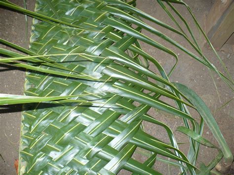 Weaving Coconut Leaf Panels | ThriftyFun