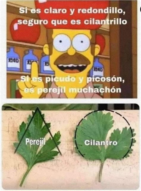 Top Memes De Cilantro En Espa Ol Memedroid