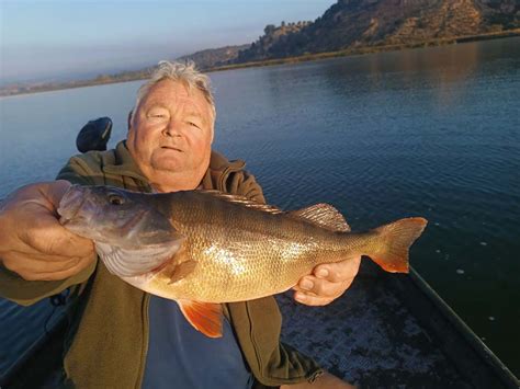 Guiding Am Ebro Auf Wels Und Barsch Herbst Extreme Ebrofishing