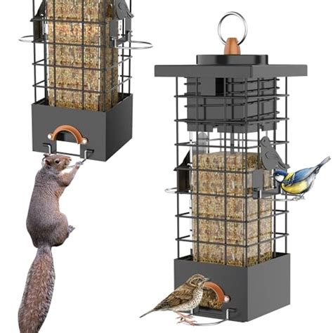 I Tested the Top 5 Best Squirrel Proof Bird Feeders - Here's What ...