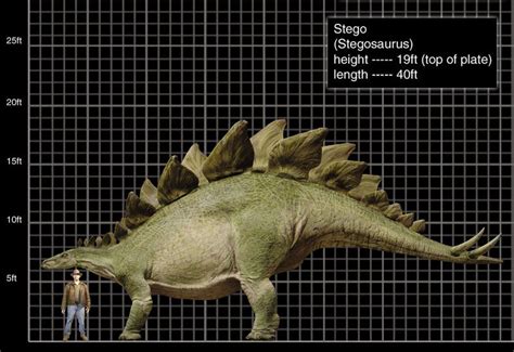 jurassic park  stegosaurus