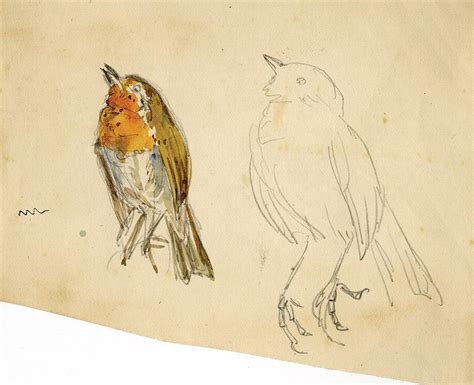 Beatrix Potter Sketches at PaintingValley.com | Explore collection of ...