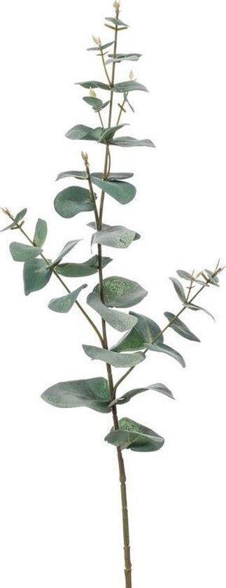 Groene Eucalyptus Kunsttak Kunstplant 68 Cm Bol