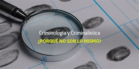 Criminología Y Criminalística ¿porqué No Son Lo Mismo Blog Utel