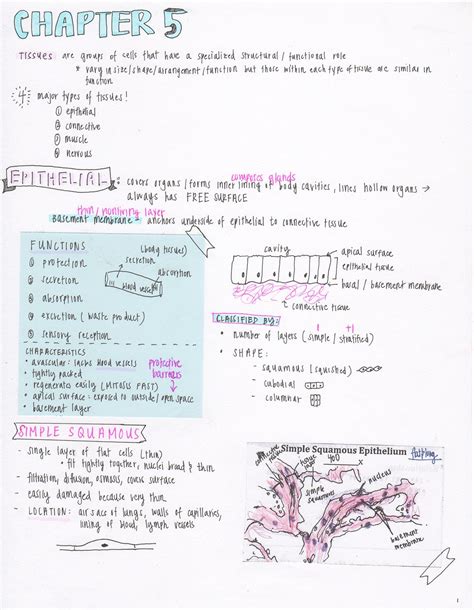 Biology Lessons Biology Notes Science Notes Study Biology Cell