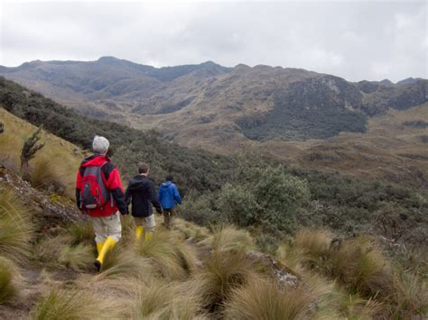 Hiking El Cajas National Park In Ecuador Go Backpacking