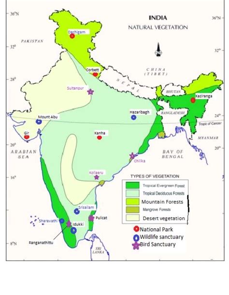 Which Map Shows Vegetationpolitical Map Physical Map Or Thematic Map Answer Correctly Please