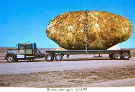 The Carpetbagger: The World's Largest Potato