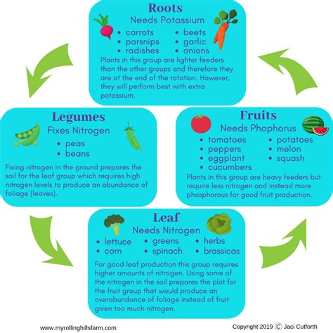 Printable Crop Rotation Chart - Printable World Holiday