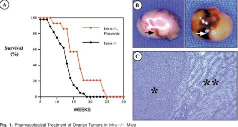 Figure 1 From Sexually Dimorphic Roles Of Steroid Hormone Receptor