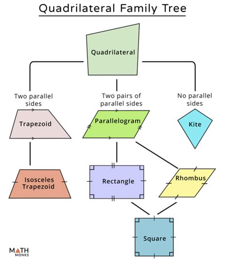 Quadrilaterals Diagram Quizlet