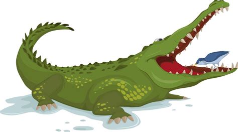 Cartoon green alligator Royalty Free Vector Image