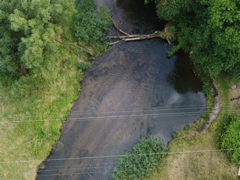 Powalone Drzewo W Korycie Rzeki K Odnica Zmienia Lini Brzegow