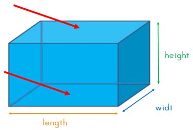 How to measure the surface area of a cuboid | K5 Learning