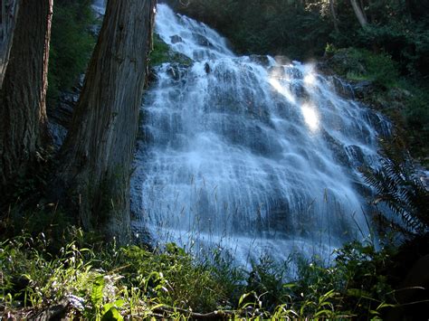 Wallpaper Sunlight Trees Landscape Forest Waterfall Nature