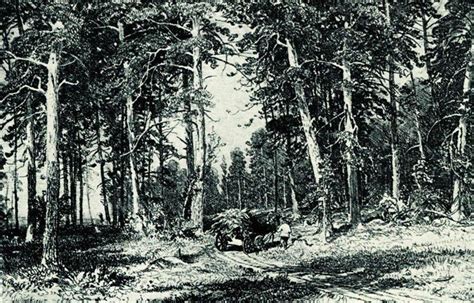 Forest, 1876 - Ivan Shishkin - WikiArt.org