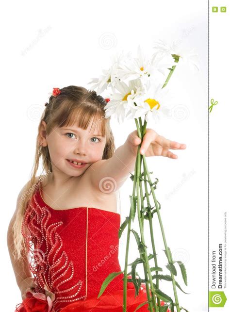 Fille Avec Des Camomiles Photo Stock Image Du Mignon 9985078