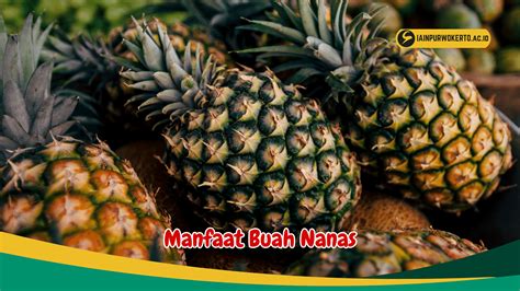 Manfaat Buah Nanas Untuk Kesehatan Pria Dan Wanita Birds N Bees