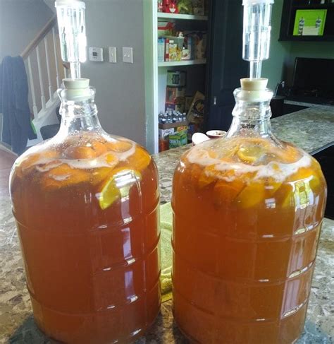 Honey Mead Recipe 5 Gallon Blog Dandk